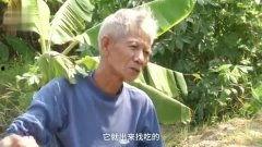 育虫视频