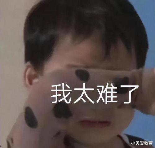 太难了 视频
